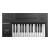 Native Instruments KOMPLETE KONTROL A25 MIDI